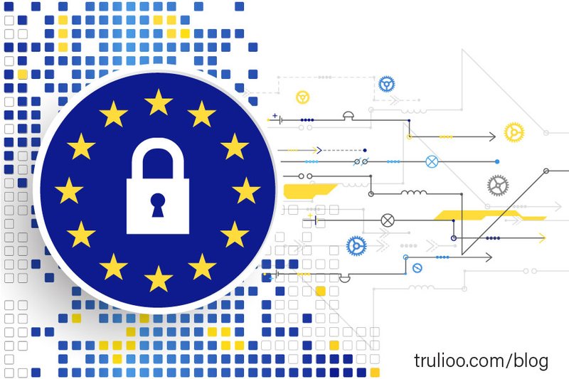 Convex Network - Infrastructura si securitate IT